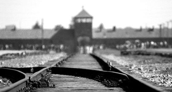 Witness Auschwitz? (2020)