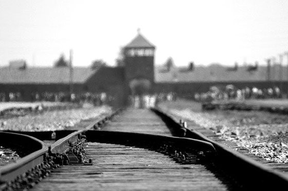 Witness Auschwitz? (2020)